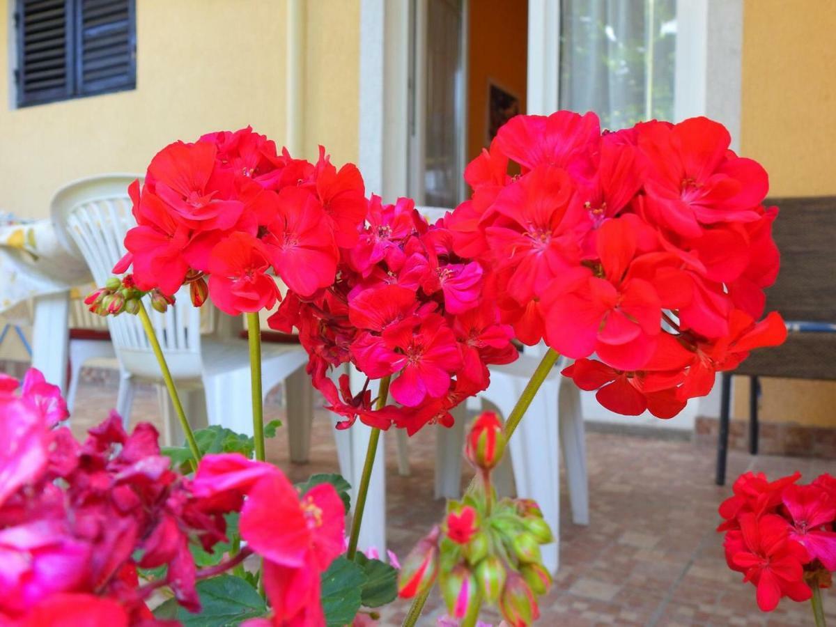 Apartment Girasole Rovinj Exterior photo